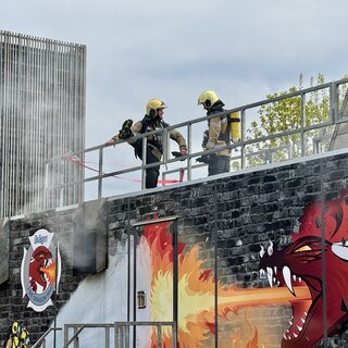 FireDragon