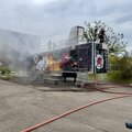 FireDragon