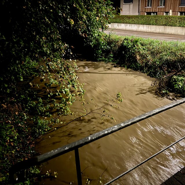 Voralarm Hochwasser.jpg Birsig bei Hochwasser höhe Bushaltestelle Brücke