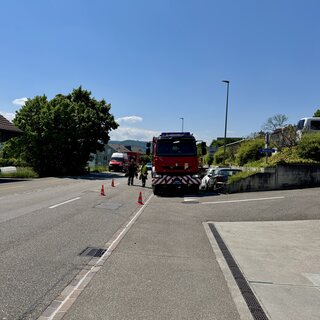 Einsatzübung Leu