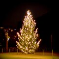 Weihnachtsbaum auf dem Dorfplatz in Biel-Benken