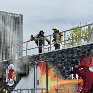 FireDragon