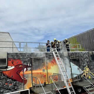 FireDragon
