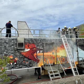 FireDragon