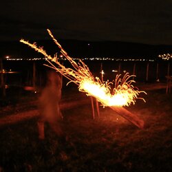 Reedlischigge