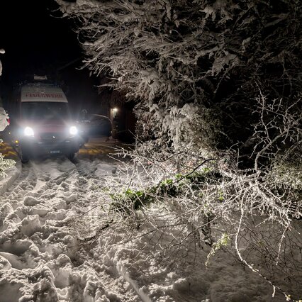 Bäume & Sträucher auf der Strasse nach einem Schneefall