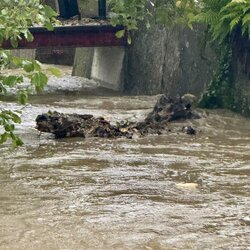 Hochwasser